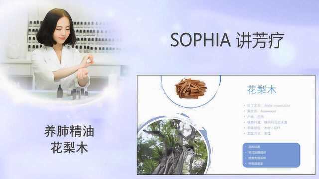 「芳灸儿」导师 SOPHIA讲芳疗30:养肺精油花梨木