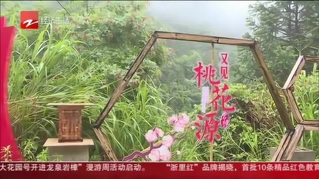 龙泉岩樟:依托山水生态 探索农产品多元化销售