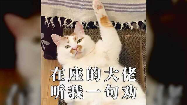 太萌了~这组表情包,一定要转发到家庭群里