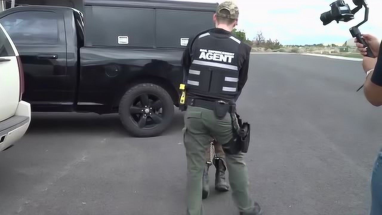 美国赏金猎人抓捕现场经过一番折腾嫌犯被抓场面太震撼了