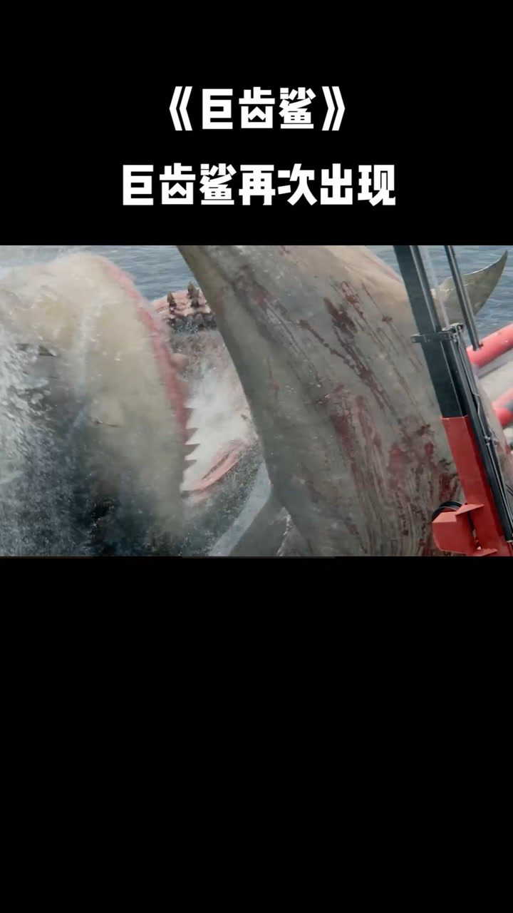 巨齿鲨人类正在海里游却被巨齿鲨吞进口中巨齿鲨想不到吧