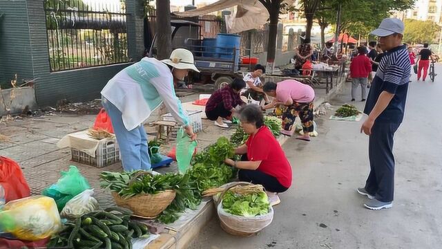 媳妇去集市摆摊卖菜,满满2大筐子一会就卖完,这生意也太好了