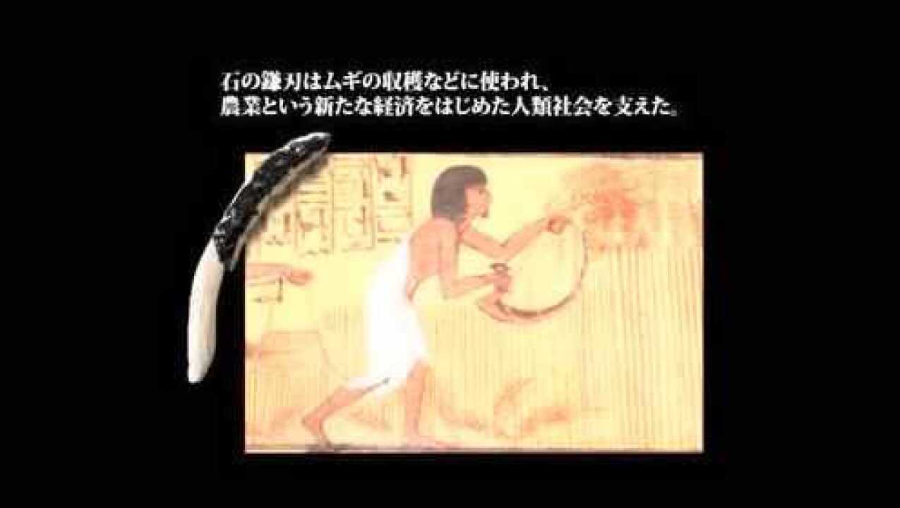 石器技法与技术——石核剥片过程的动画演示_高清1080P在线观看平台_腾讯视频