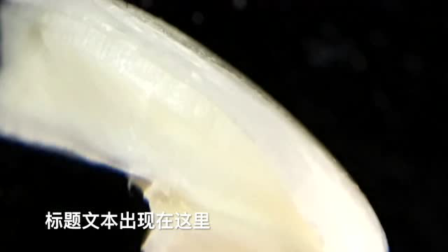 相关视频