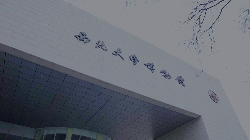 国际博物馆日:90s带你逛西北大学博物馆