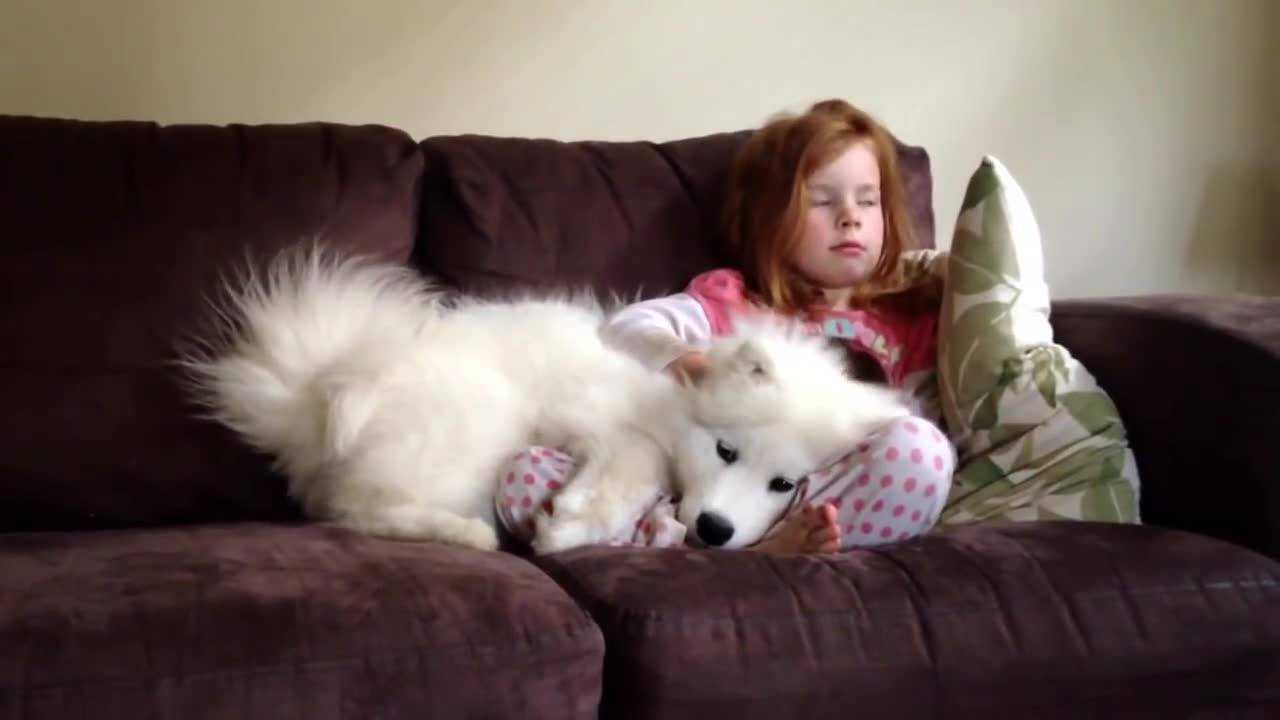 萨摩耶和小主人一起坐在沙发上,画面看着好暖心