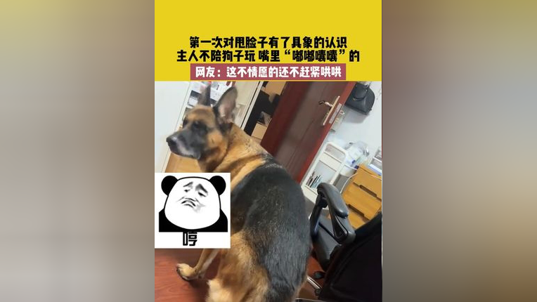 扇狗狗嘴巴子表情包图片