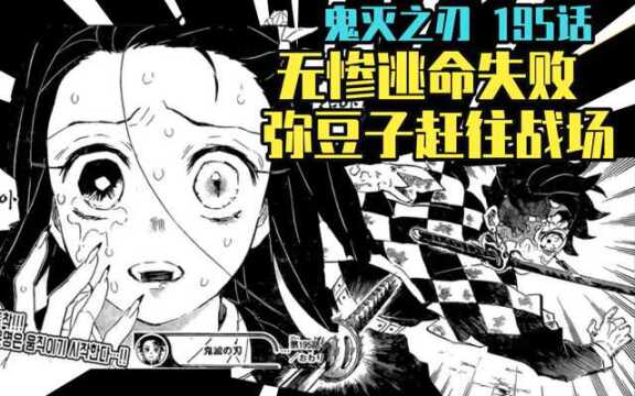 【鬼灭之刃漫画解说】漫画195 无惨逃命失败,弥豆子赶往战场