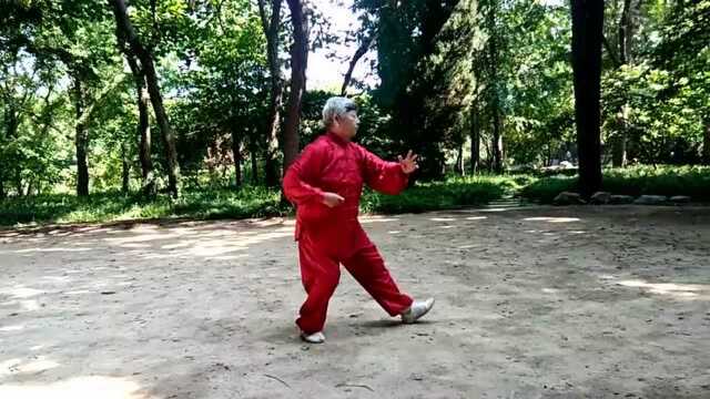 24+张玉华+剑桥太极拳活动站+《杨班侯式太极拳》