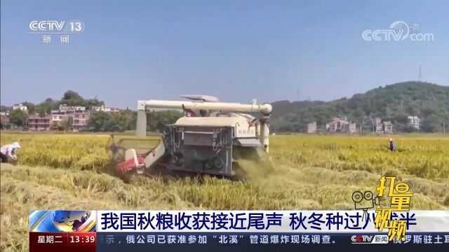 关注!我国秋粮收获接近尾声,进度完成91.2%,秋冬种过八成半