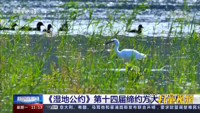 《湿地公约》第十四届缔约方大会闭幕