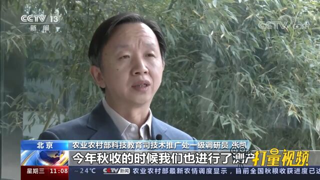 盐碱地丰收的背后:我国盐碱地综合利用成效初显