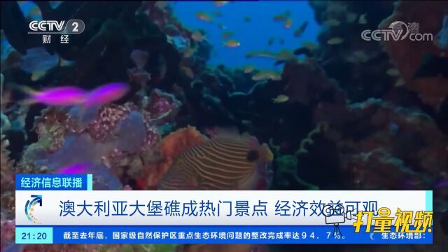 澳大利亚大堡礁成热门景点,经济效益可观