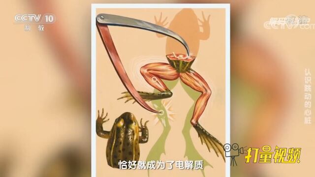 科学家洪堡有多拼?为验证生物电,不惜割开自己皮肉