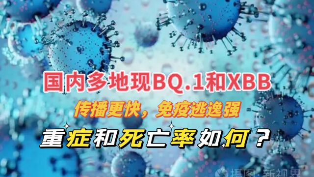 多地出现BQ.1和XBB分支,传播更快,重症和死亡率怎样?