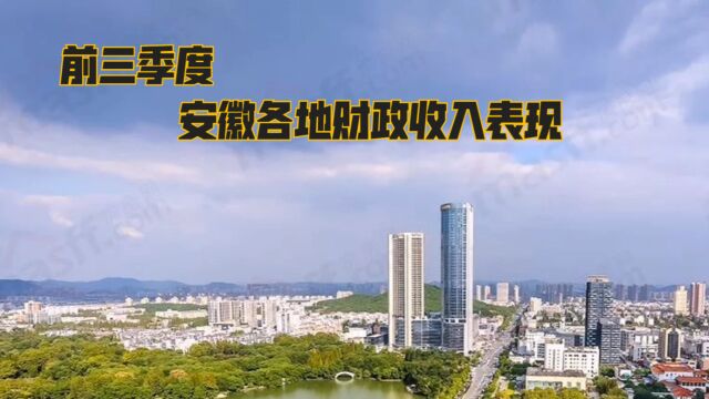 2022年19月安徽各地财政表现,合肥位置稳固,亳州增长喜人