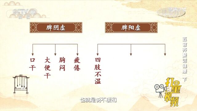 脾阴虚可表现为口干、胸闷,而脾阳虚则表现为四肢不温