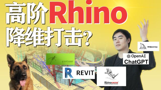 Rhino高阶玩法,再不了解真就Out了!