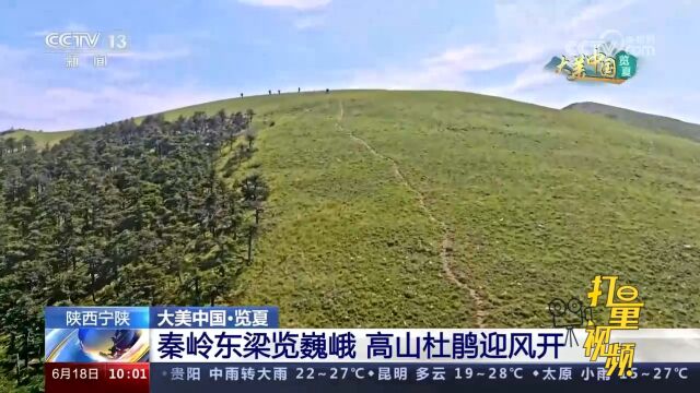 四川康定:俄色花次第盛放,绘就藏乡田园画卷,尽显夏日生态之美