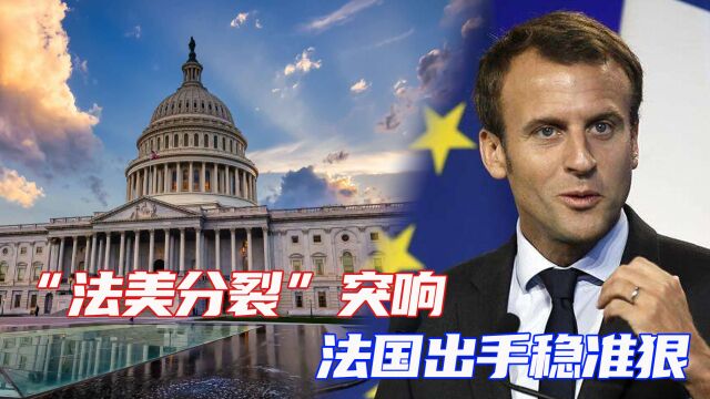 法国政府否决美国福斯公司对法国核潜艇零部件供应商的收购计划