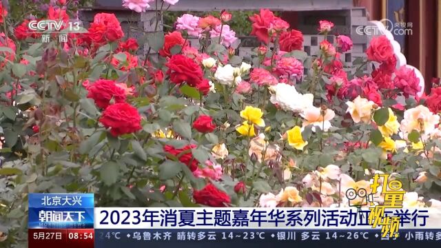 北京大兴:2023年消夏主题嘉年华系列活动正在举行