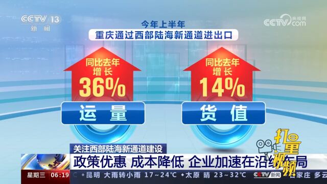 西部陆海新通道建设:政策优惠,成本降低,企业加速在沿线布局