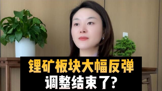 锂矿板块大幅反弹,调整结束了?⠀