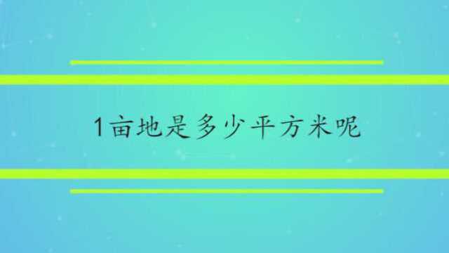 1亩地是多少平方米呢