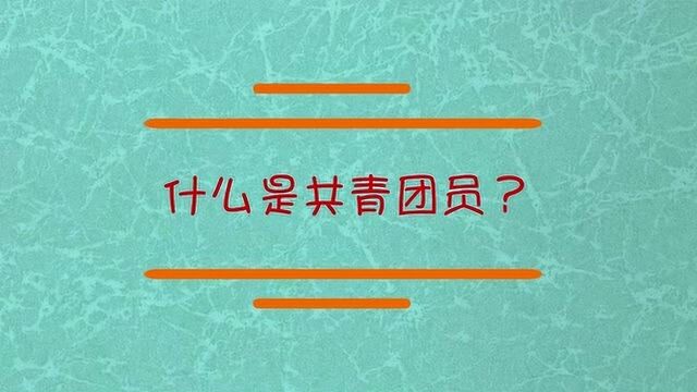 什么是共青团员?