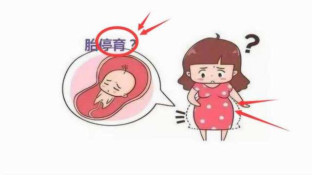 “胎停”现象越来越“多”,其实早有“信号”,“预防”很重要!