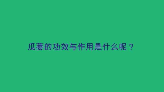 瓜蒌的功效与作用是什么呢?