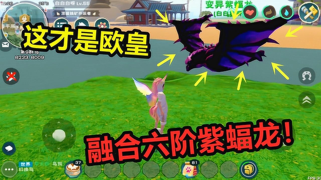 创造与魔法:萌新第一次融合紫蝠龙!没想到就出了个六阶