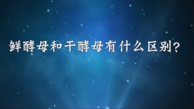 鲜酵母和干酵母有什么区别?