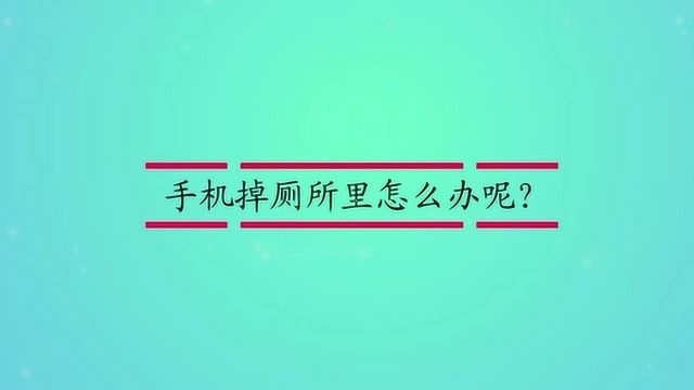 手机掉厕所里怎么办呢?