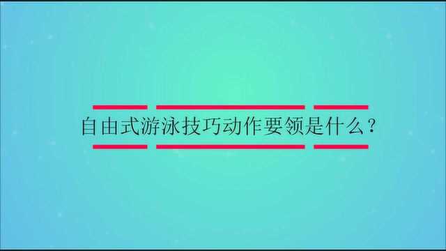 自由式游泳技巧动作要领是什么?