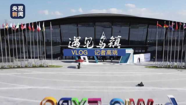 记者Vlog | 黑科技哪家炫?记者带你速览“互联网之光”