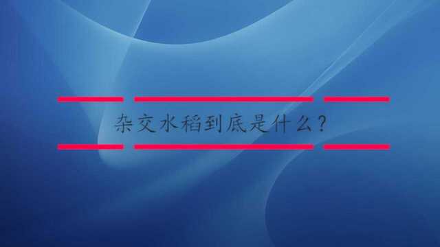 杂交水稻到底是什么?