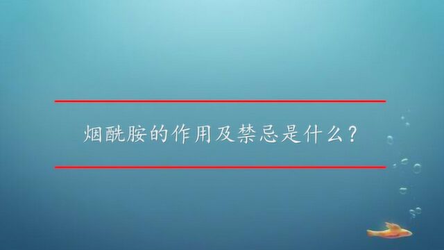 烟酰胺的作用及禁忌是什么?