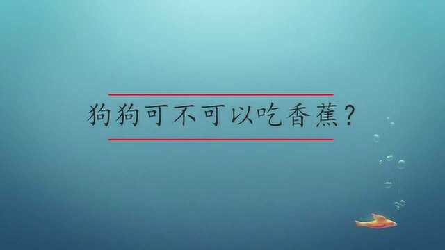 狗狗可不可以吃香蕉?