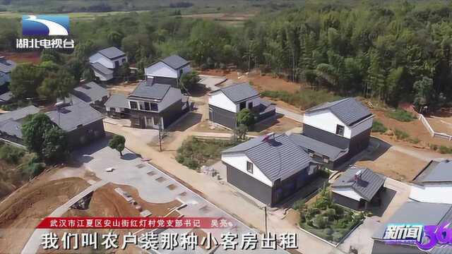 江夏打造新时代“江南水乡”,推动乡村振兴