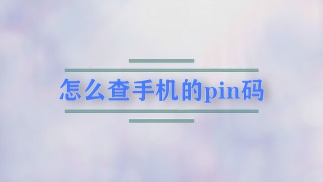 怎么查手机的pin码