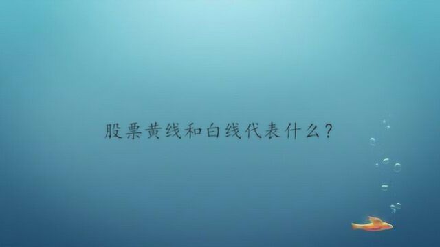 股票黄线和白线代表什么?