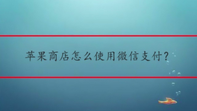 苹果商店怎么使用微信支付?