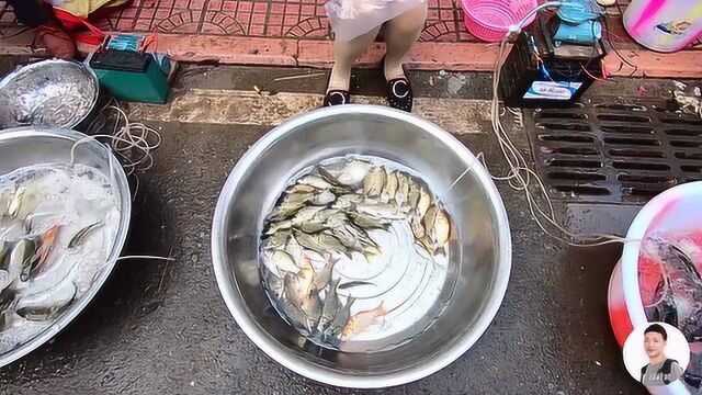 四川绵阳:许州集市上的这种鱼太奇特了,毛哥第1次见,你见过吗