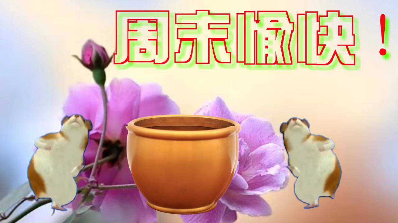 ĩ