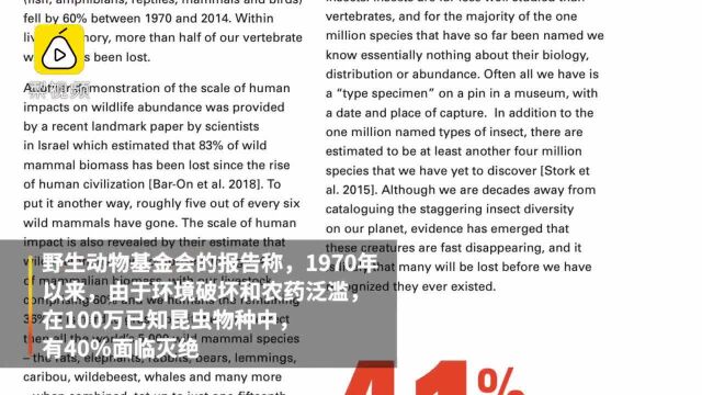 新报告:40%的昆虫物种将灭绝