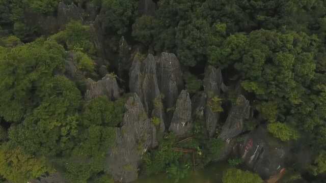 永安独特的喀斯特地貌造就了地上和地下的奇异景观,石林造型错落有致