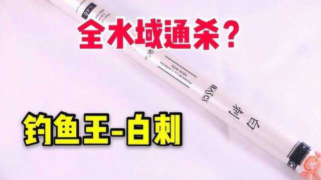 号称全水域全拿的钓鱼王鱼竿性价比到底怎么样?参数是否虚标?