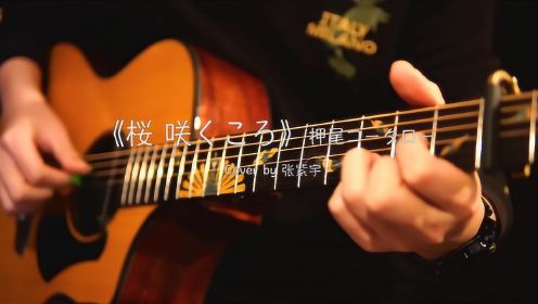 吉他指弹翻弹押尾桑《桜・咲くころ(樱花盛开的时候)》
