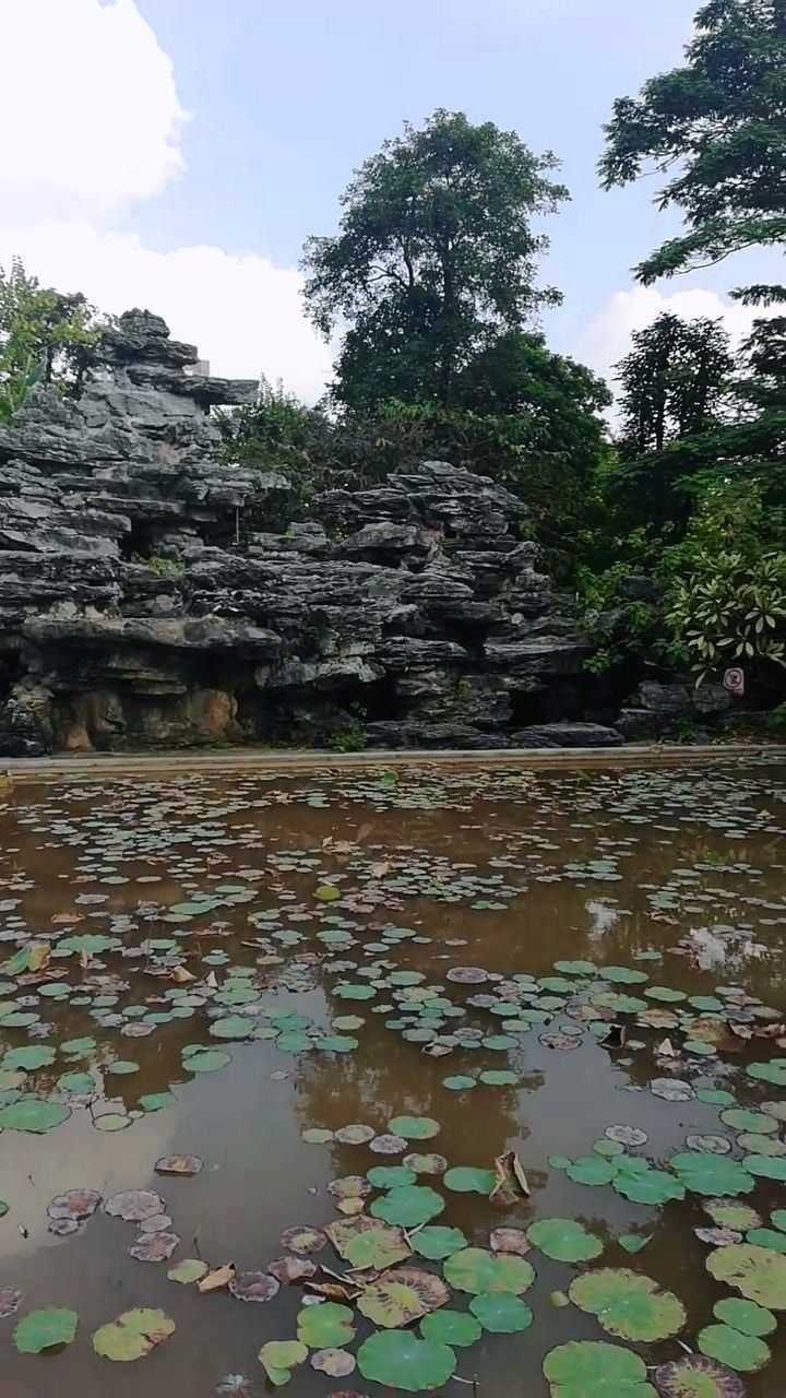 佛山大沥九龙公园掠影